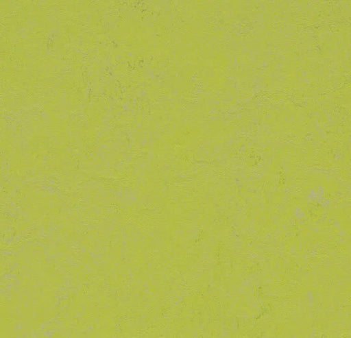 Marmoleum Decibel Green Glow 374235-cut