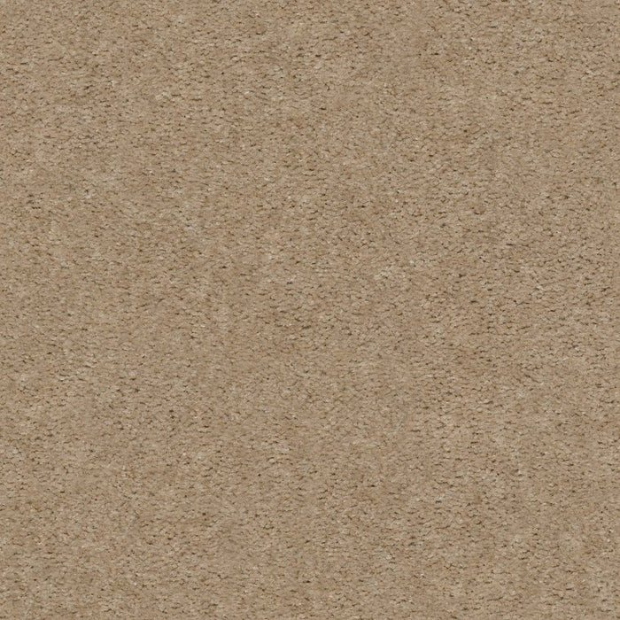 Heroic Artisan Craft Nylon Carpet - Textured
