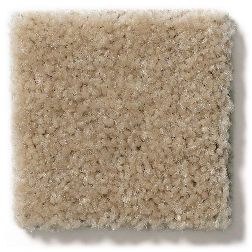 Heroic Artisan Craft Nylon Carpet - Textured