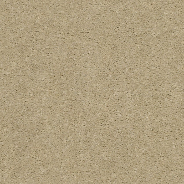 Heroic Spanish Sand Nylon Carpet - Textured