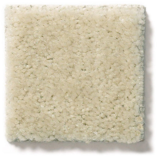 Heroic Coconut Twist Nylon Carpet - Textured