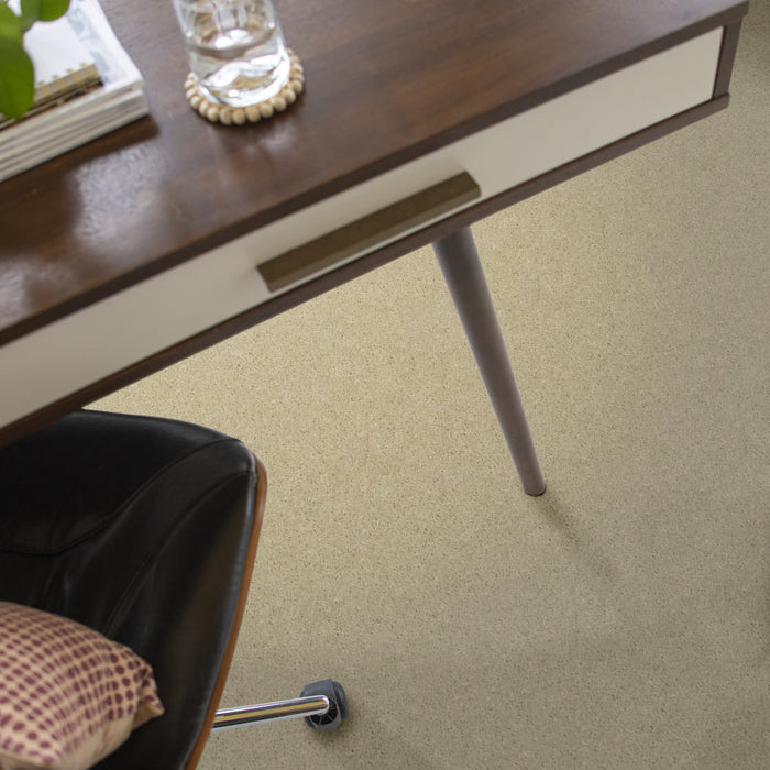 Heroic Coconut Twist Nylon Carpet - Textured