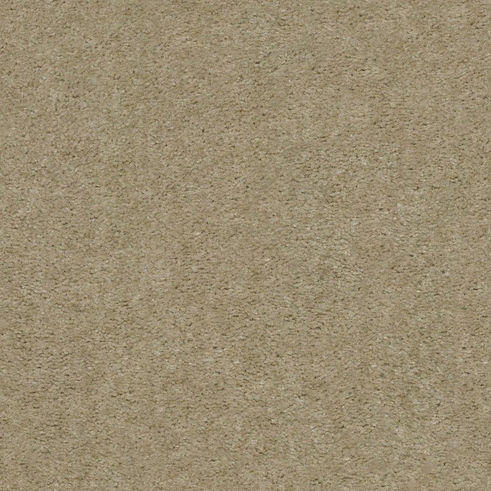 Heroic Chateau Nylon Carpet - Textured