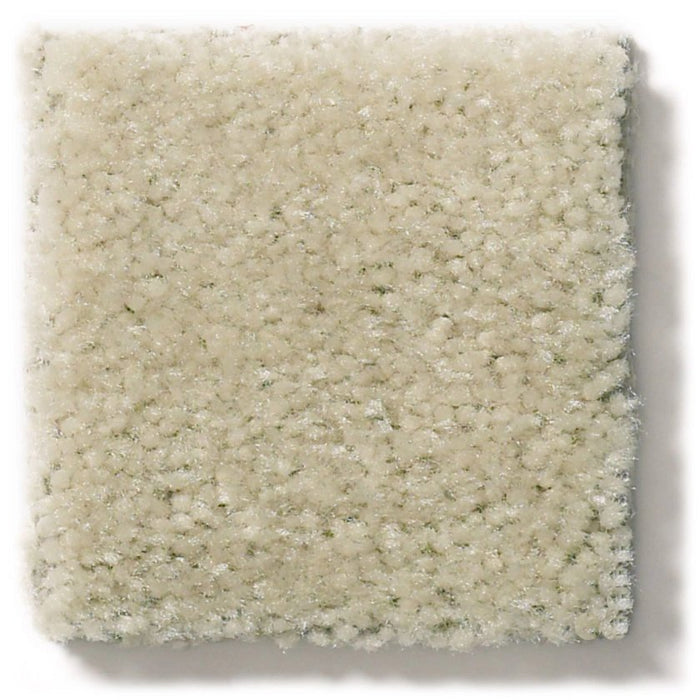 Heroic Ash Blonde Nylon Carpet - Textured