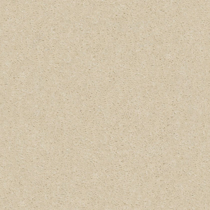 Heroic Silk Thread Nylon Carpet - Textured