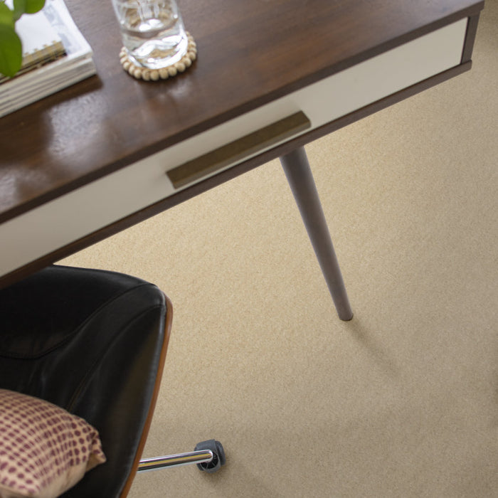 Heroic Silk Thread Nylon Carpet - Textured