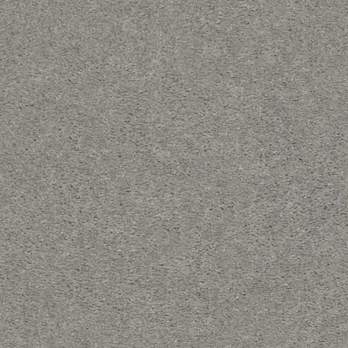 Heroic Shadow Nylon Carpet - Textured