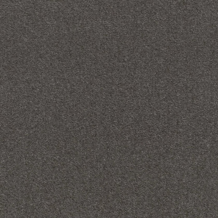 Heroic Wrought Iron Nylon Carpet - Textured