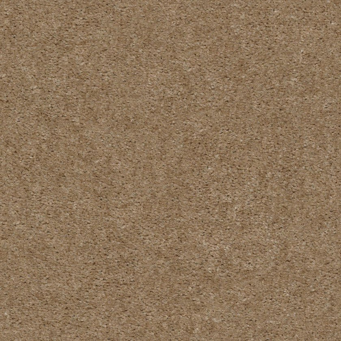 Heroic Clay Nylon Carpet - Textured