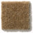 Heroic Landmark Nylon Carpet - Textured