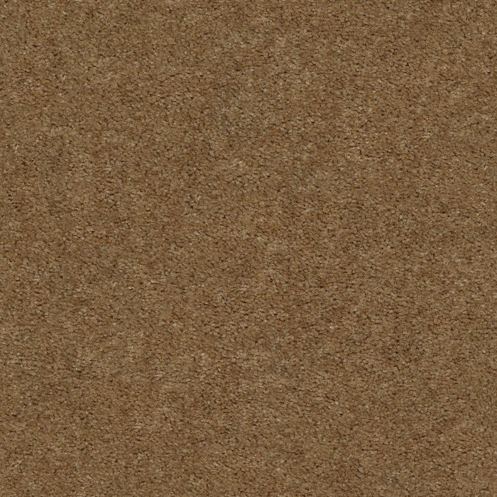 Heroic Landmark Nylon Carpet - Textured