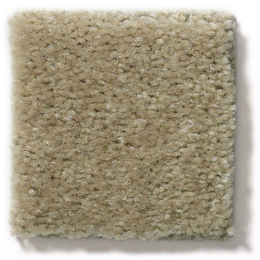 Heroic Windsor Tan Nylon Carpet - Textured