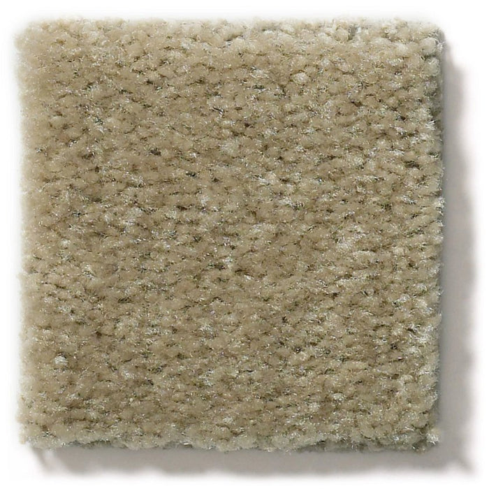 Heroic Windsor Tan Nylon Carpet - Textured
