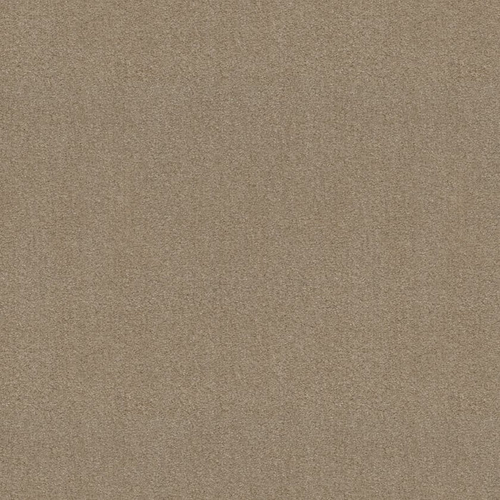 Heroic Windsor Tan Nylon Carpet - Textured