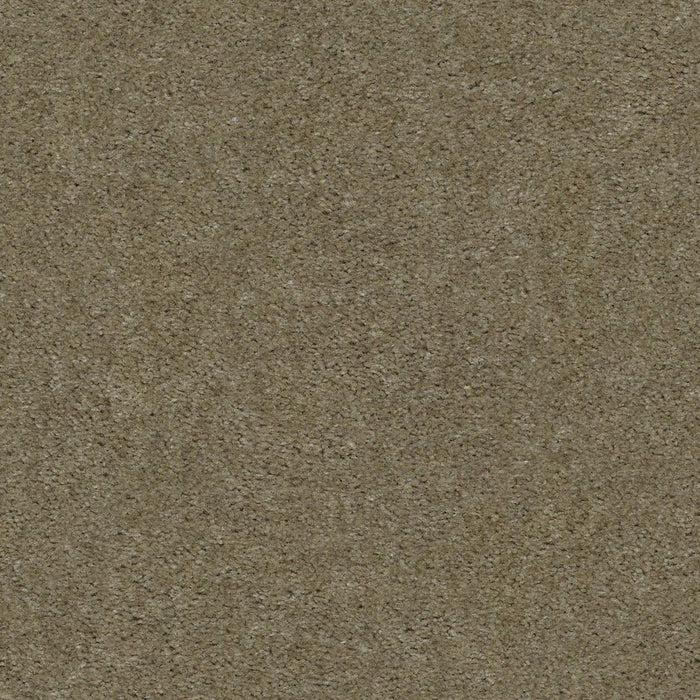 Heroic Cliffside Nylon Carpet - Textured