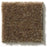 Heroic Toffee Nylon Carpet - Textured