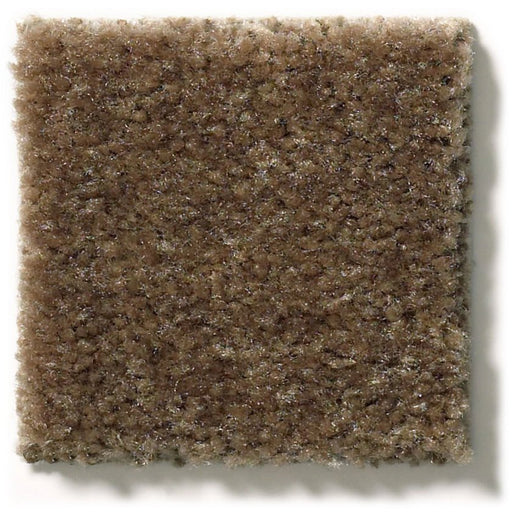 Heroic Toffee Nylon Carpet - Textured