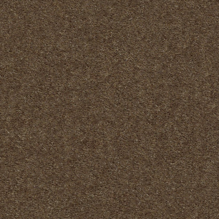 Heroic Toffee Nylon Carpet - Textured