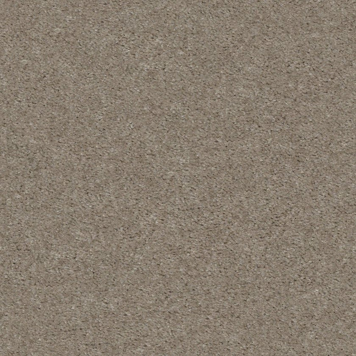 Heroic Free Spirit Nylon Carpet - Textured