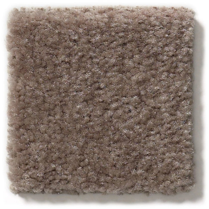 Heroic Chic Taupe Nylon Carpet - Textured
