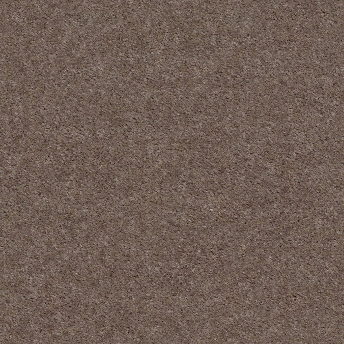 Heroic Chic Taupe Nylon Carpet - Textured