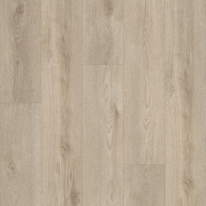 Paladin Plus Vinyl 02094 Resilient Luxury Vinyl Plank ScufResist 1