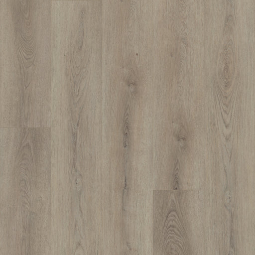 Paladin Plus Vinyl 05218 Resilient Luxury Vinyl Plank ScufResist 1