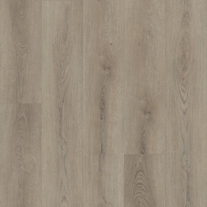 Paladin Plus Vinyl 05218 Resilient Luxury Vinyl Plank ScufResist 1