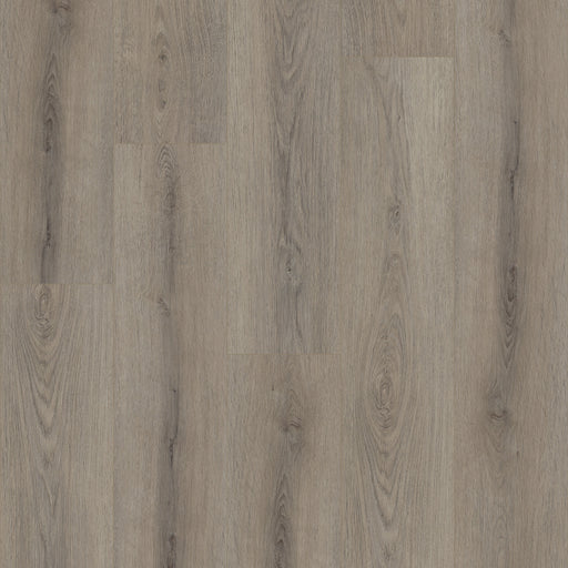 Paladin Plus Vinyl 05219 Resilient Luxury Vinyl Plank ScufResist 1