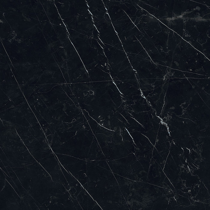 Magnifica Nineteen Forty - Eight Porcelain Nero Marquina Tile Honed 3