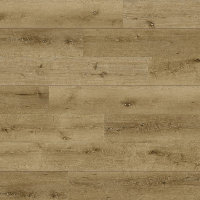 Shorewood Vinyl Driftwood DRI Vinyl Plank UV Cured Polyurethane & Ceramic Bead 2