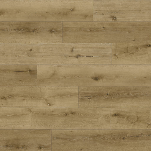Shorewood Vinyl Driftwood DRI Vinyl Plank UV Cured Polyurethane & Ceramic Bead 1