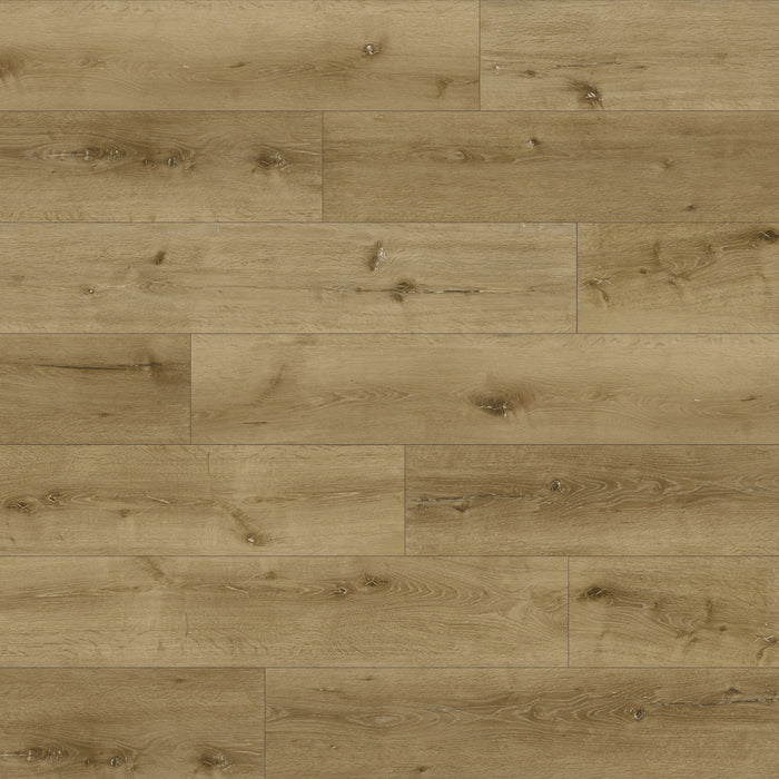 Shorewood Vinyl Driftwood DRI Vinyl Plank UV Cured Polyurethane & Ceramic Bead 1