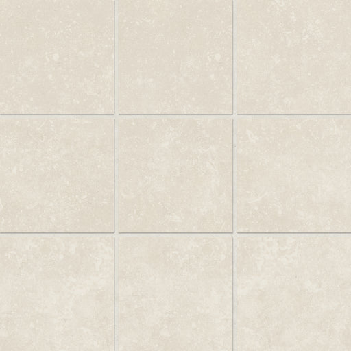 Bluerun Porcelain Antique White ANW Mosaic Matte 1