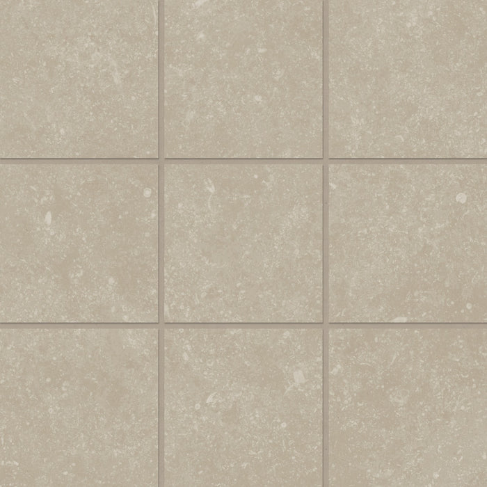 Bluerun Porcelain Historic Greige HIG Mosaic Matte 2