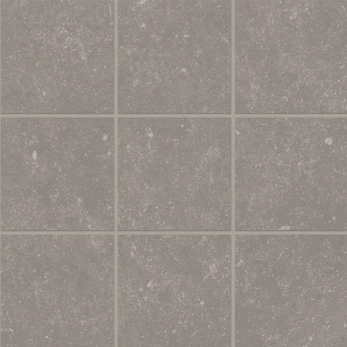 Bluerun Porcelain Atlas Gray ATG Mosaic Matte 2
