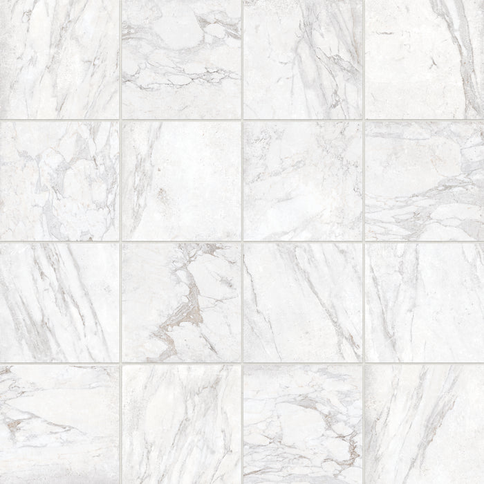 Antica Roma Porcelain Bianco BIA Tile Matte 1