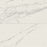 Opus Porcelain Statuario STA Tile Matte 1