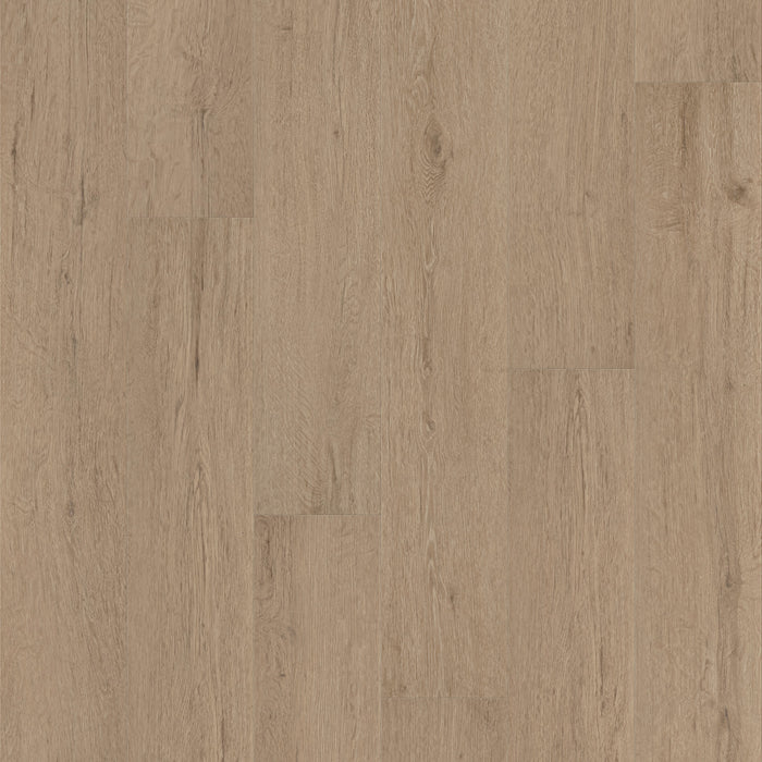 Pantheon Hd+ Natural Bevel Vinyl Cabet Trails Resilient Luxury Vinyl Plank ScufResist 1