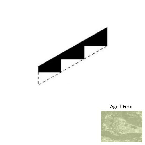 Aged Fern M663