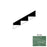 Parsley M684