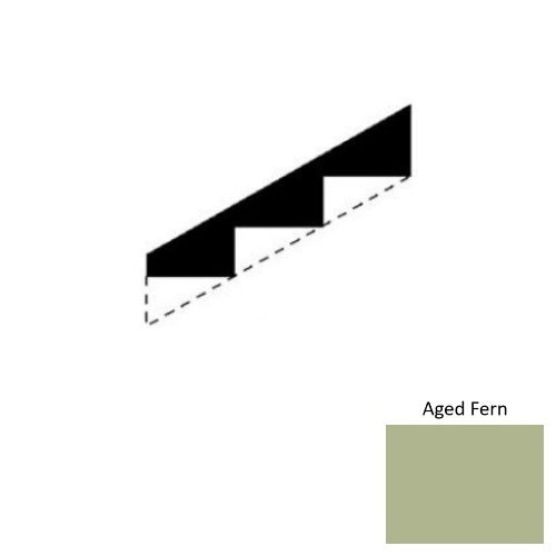 Aged Fern 663