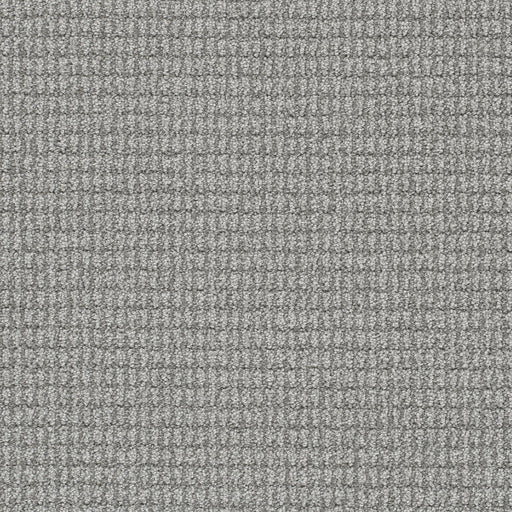 Palma Polyester Royalty 2537 Carpet Loop 1
