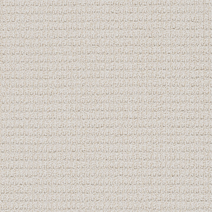 Palma Polyester Magnificent 2872 Carpet Loop 1