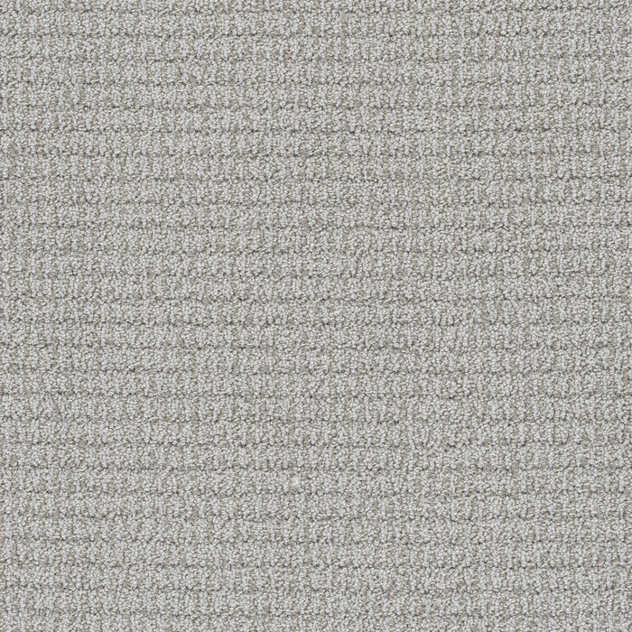 Palma Polyester Romantic 2988 Carpet Loop 1