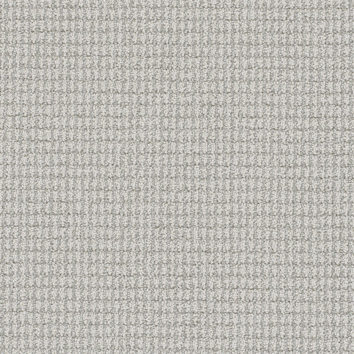 Palma Polyester Nautilus 4328 Carpet Loop 1