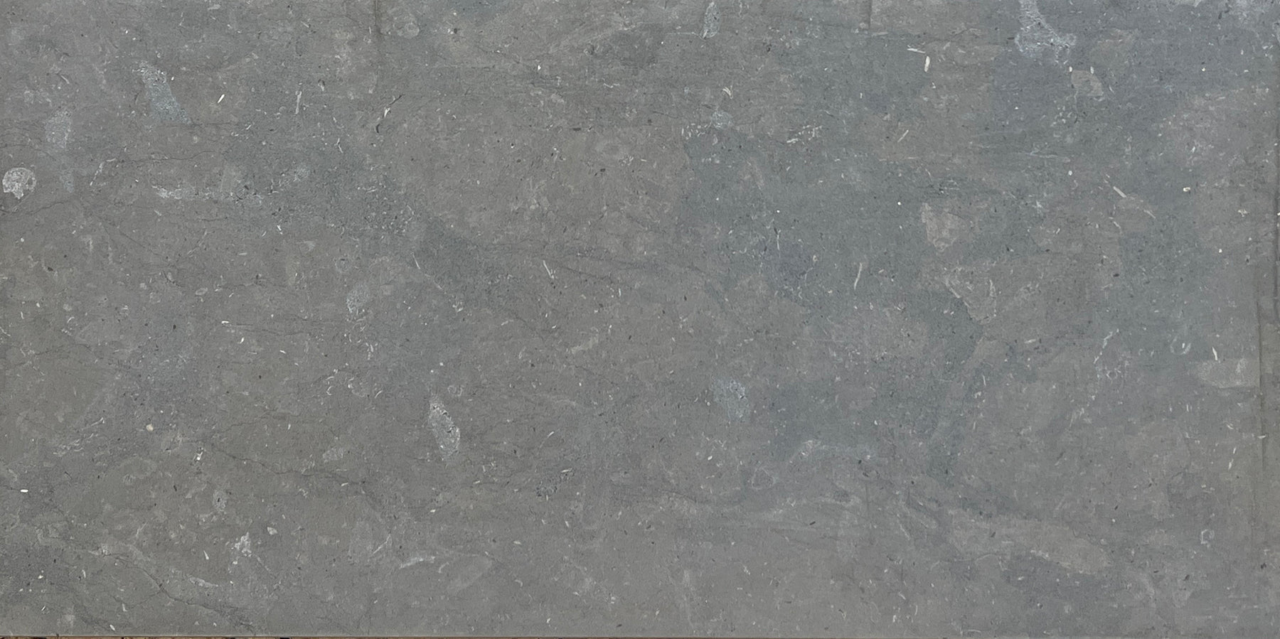 Full Tile Sample - Lagos Blue Limestone Tile - 12" x 12" x 3/8" Honed