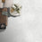 Nirmana Ivory Porcelain Tile - Matte
