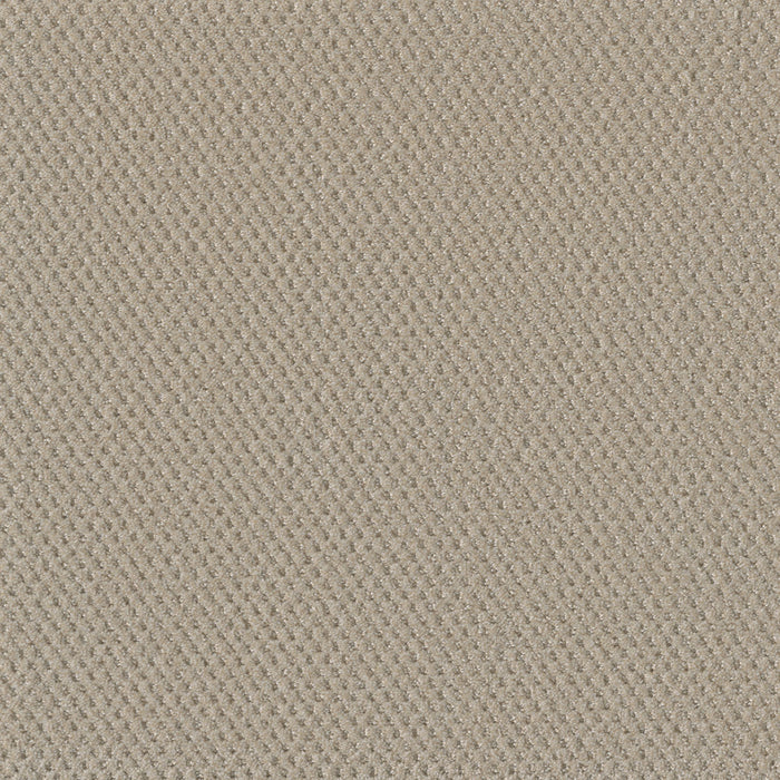 Moon Bay Polyester Champagne Fizz 6309 Carpet Loop 1