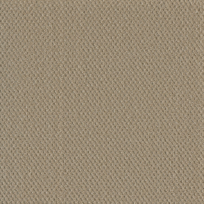 Moon Bay Polyester Soft Pine 6317 Carpet Loop 1